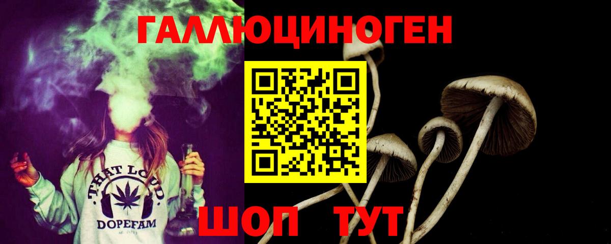 Галлюциногенные грибы Magic Shrooms  Псилоцибиновые грибы прущие грибы  Вход с VPN  Усинск 
